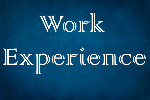 work experience