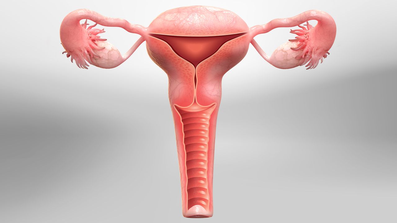 Hysterectomy image